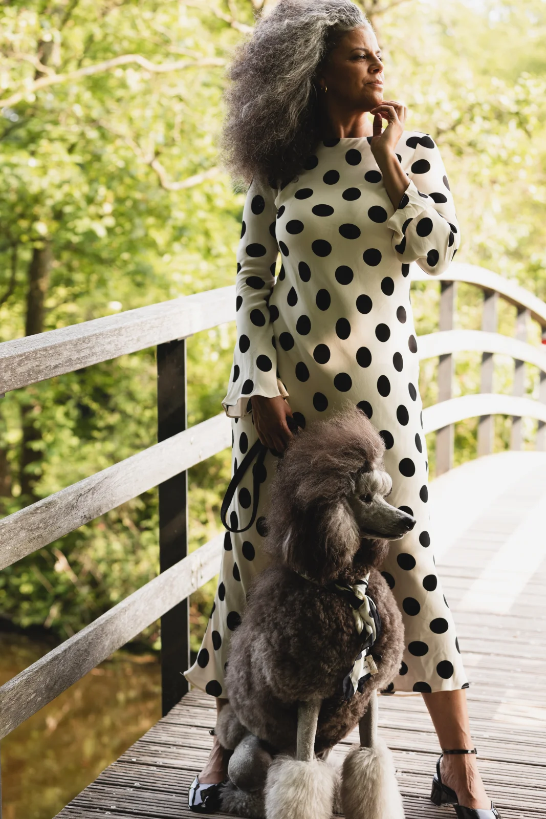 Poodle