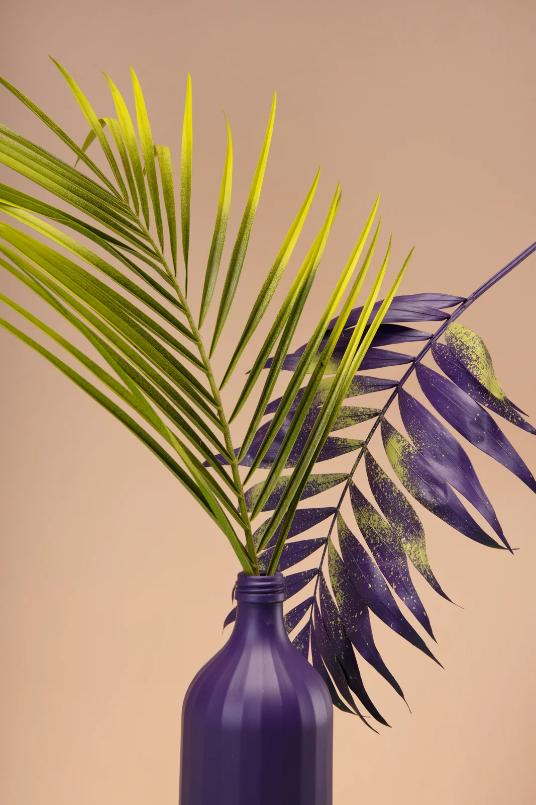 Botanical Color Studies