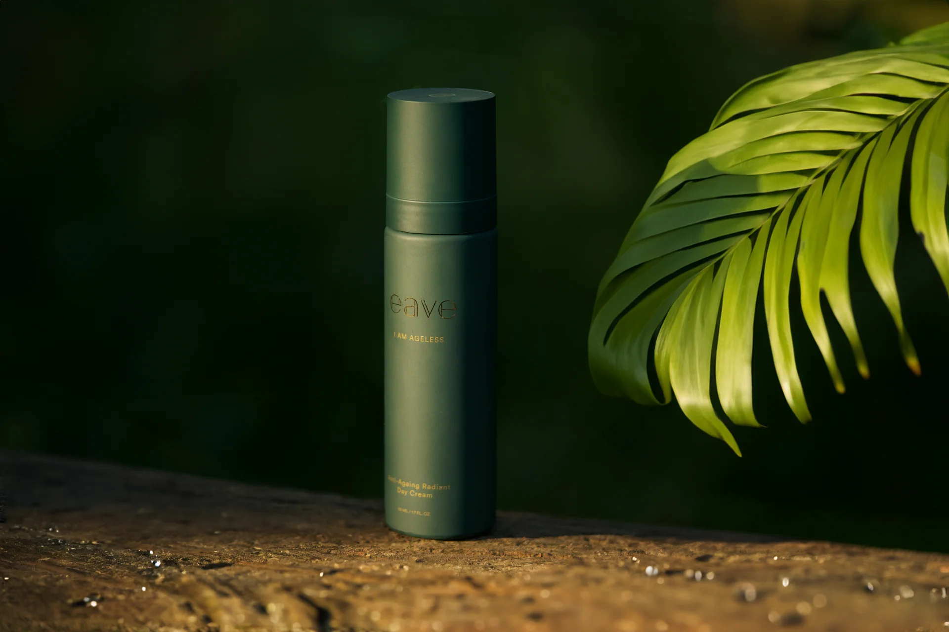 EAVE COSMETICS – Campaign Case 