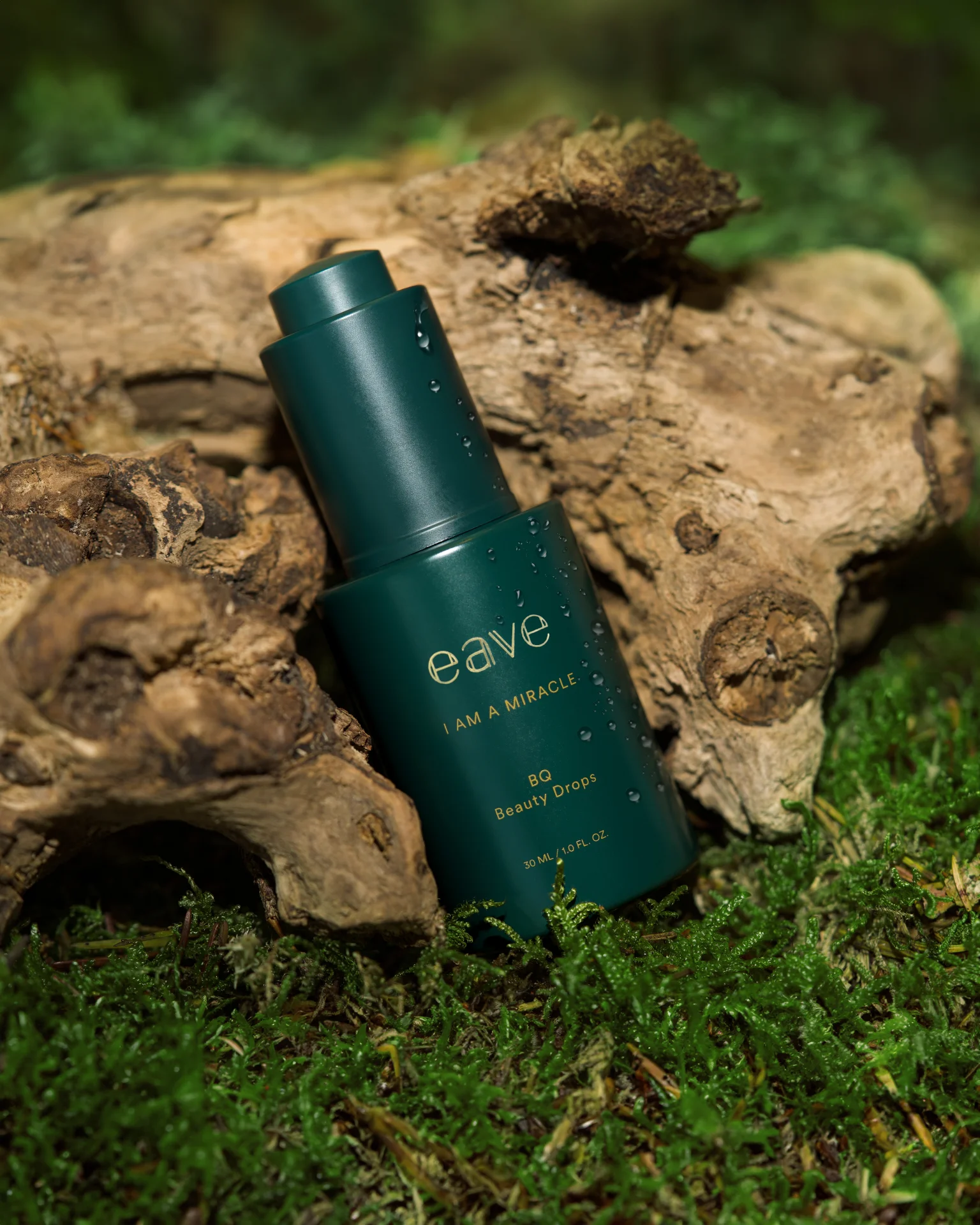 EAVE COSMETICS – Campaign Case 