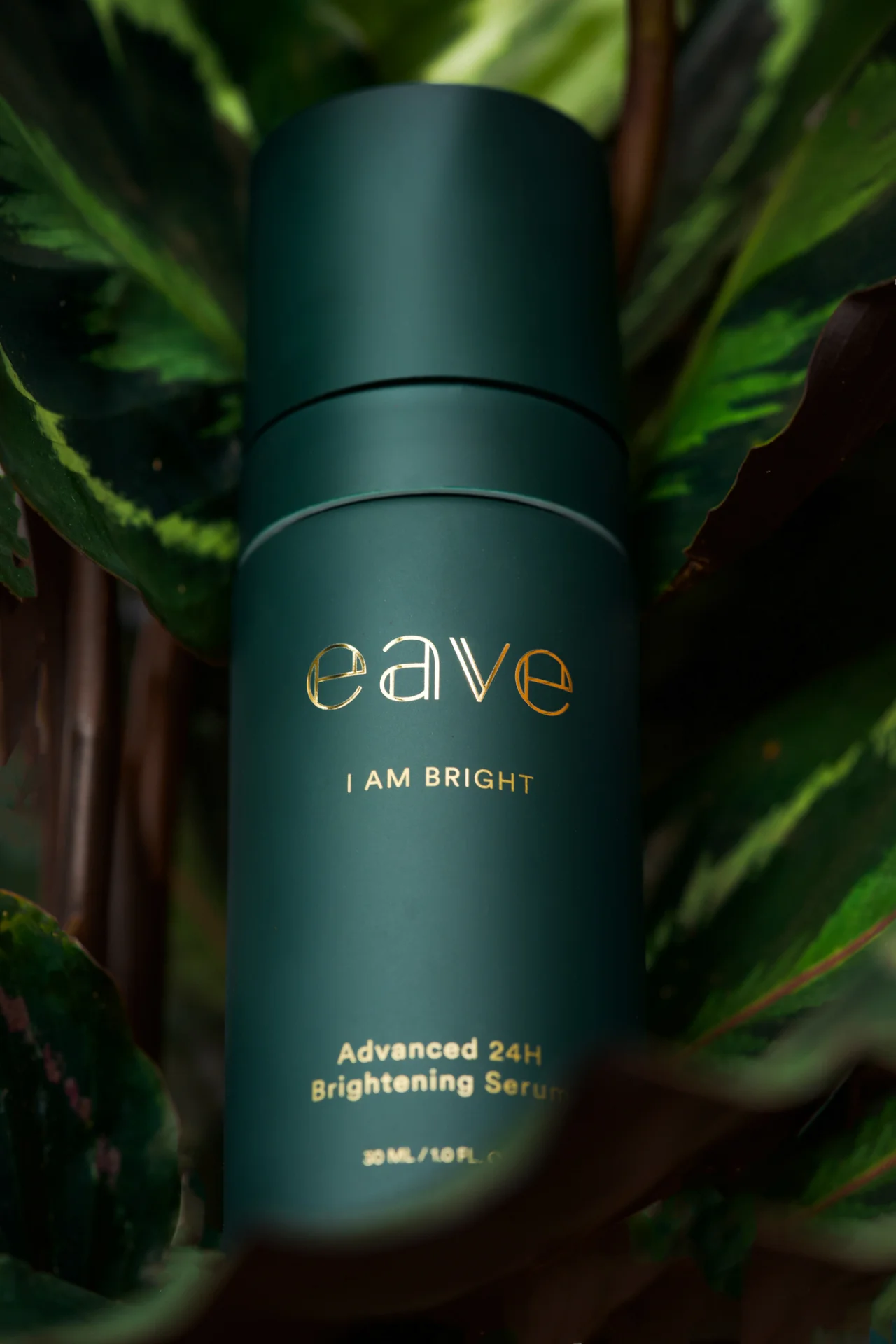 EAVE COSMETICS – Campaign Case 