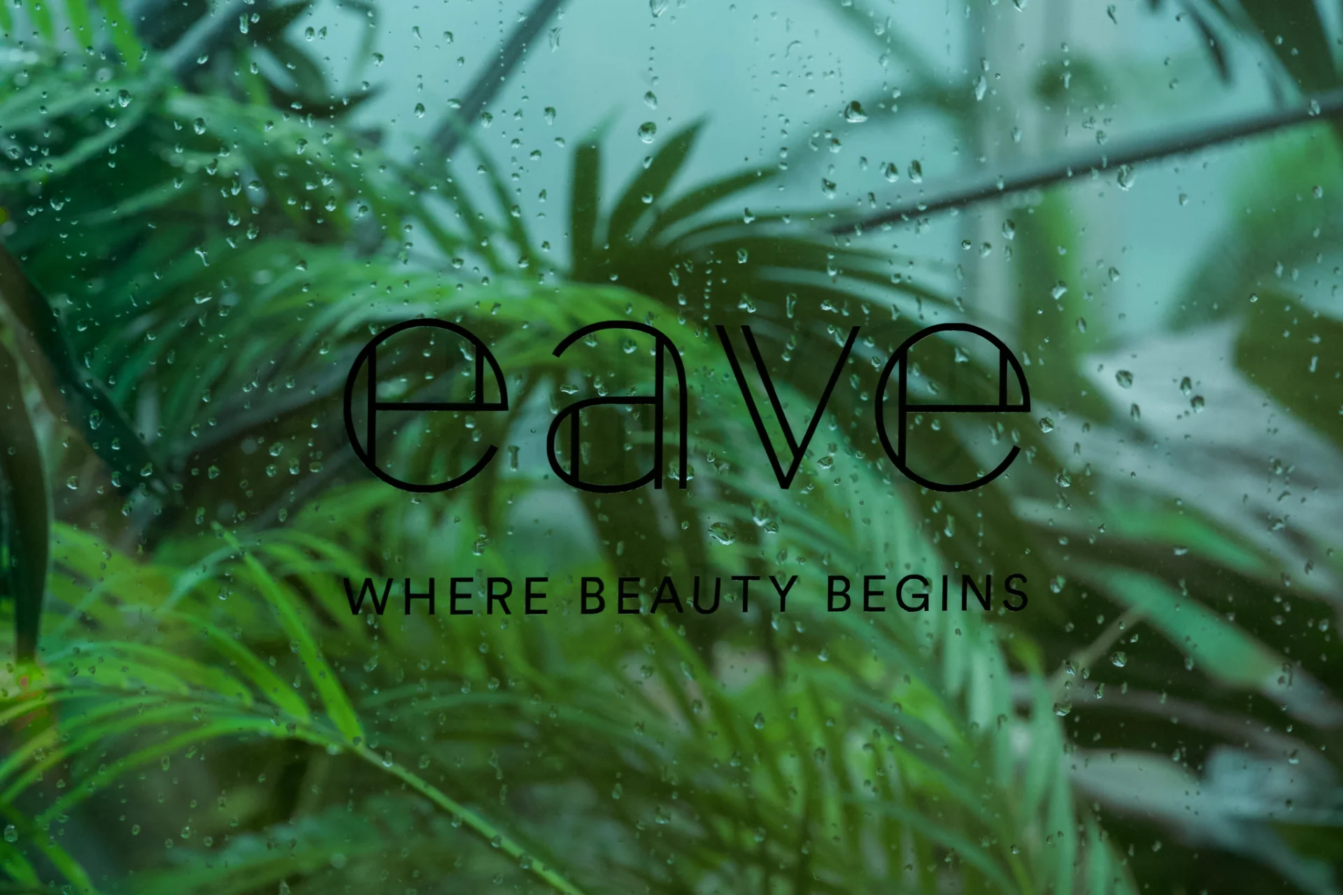 EAVE COSMETICS – Campaign Case 