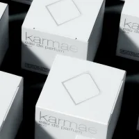 Cintia Graphic Designer