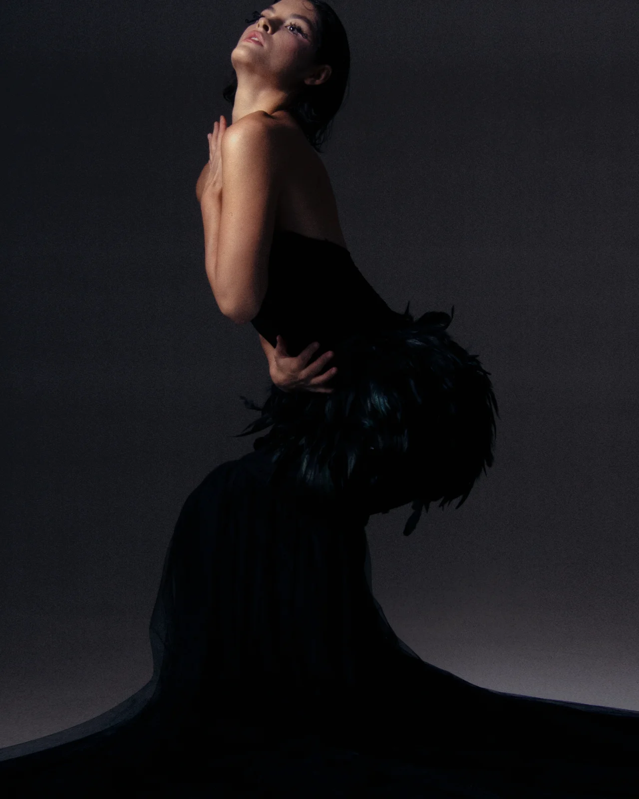 Swan’s Allure