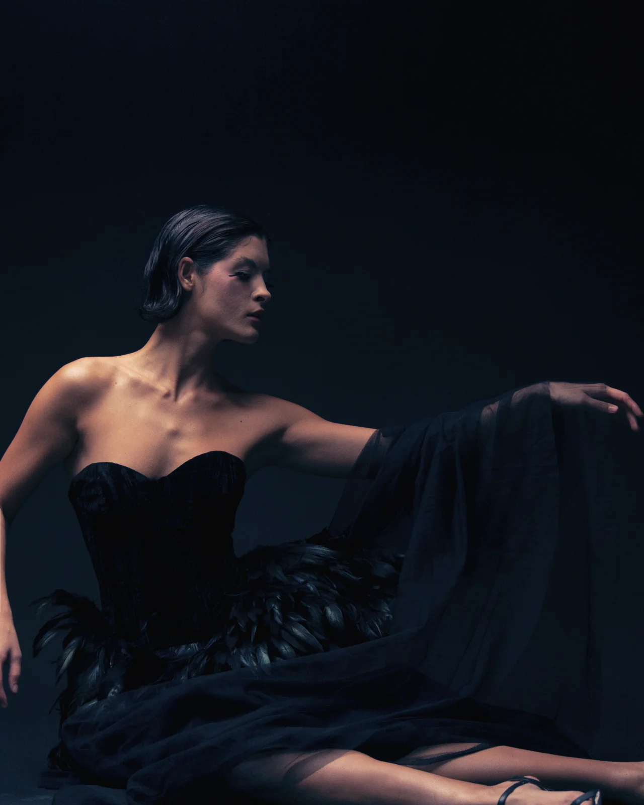 Swan’s Allure