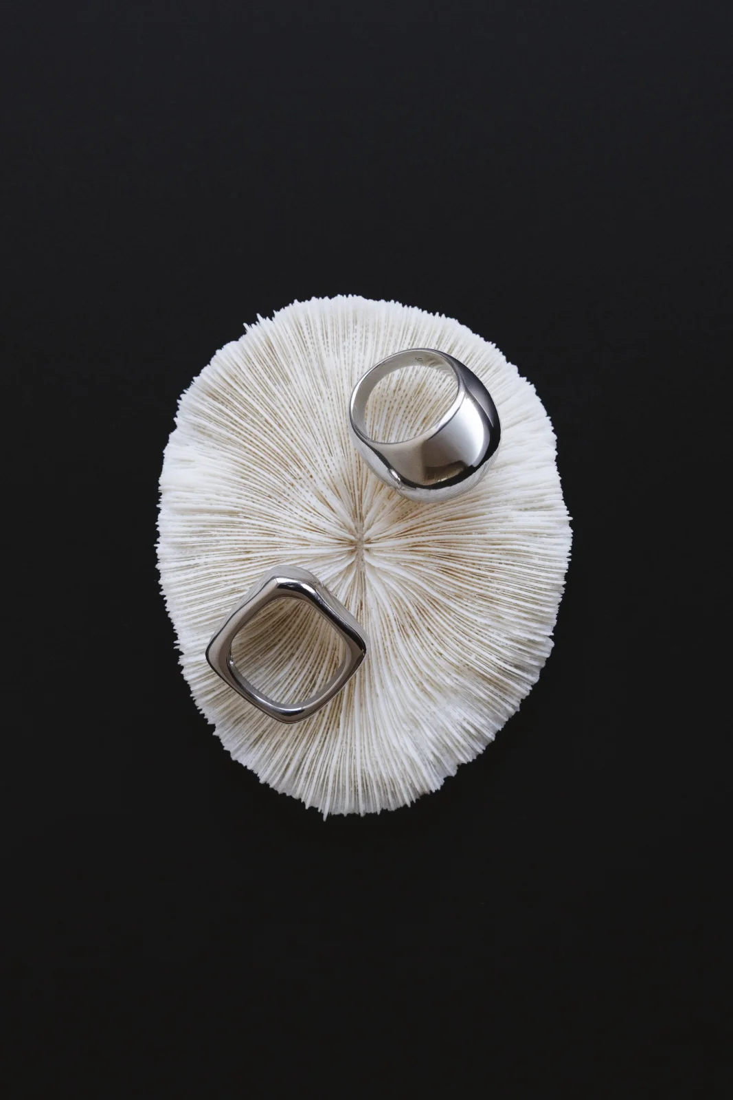 Product photography 