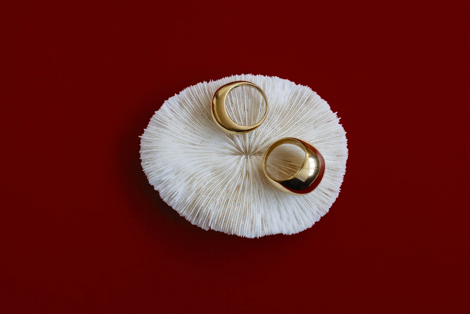 Product photography 