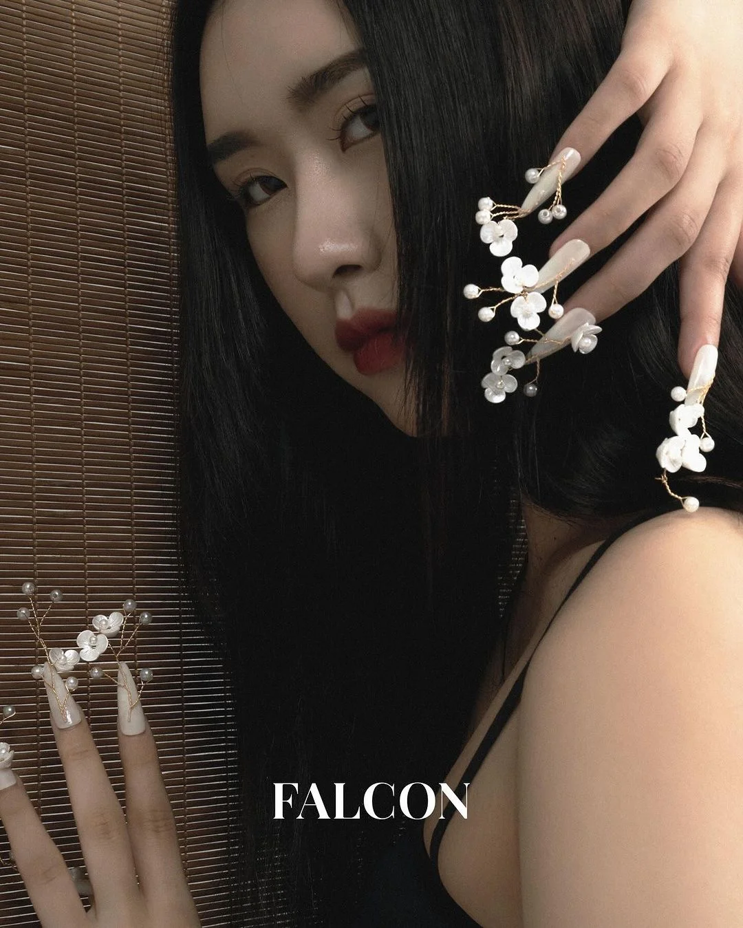 Falcon Magazine