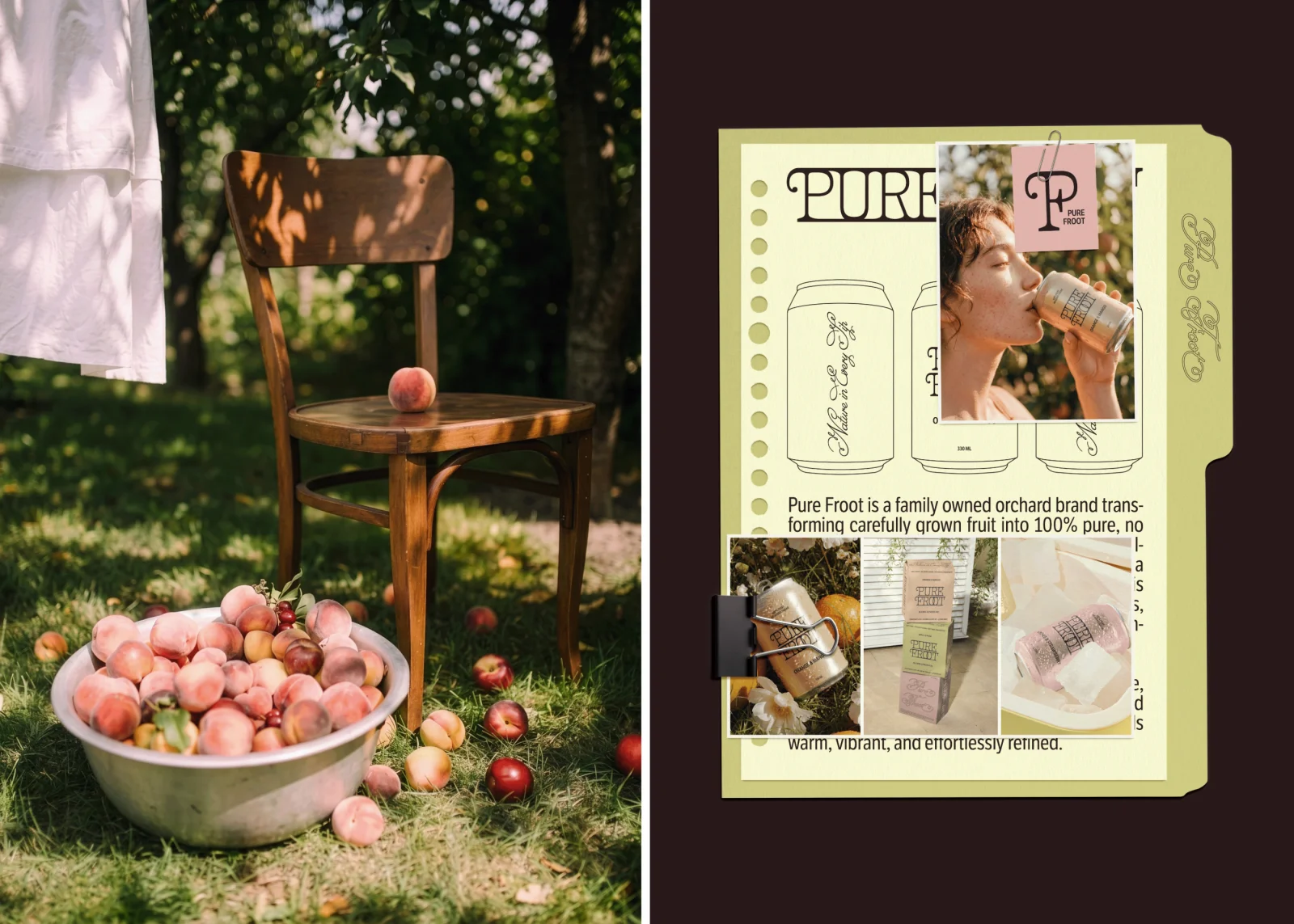 Pure Froot | Organic Juice Brand Identity | Can Design